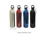 Stainless Steel Bottle 650ml